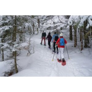 Balade en raquettes à neige privative dans les Vosges